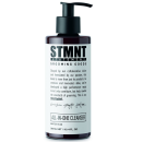 STMNT All-In-One Cleanser 300ml