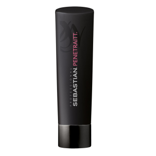 Sebastian Penetraitt Shampoo 250ml