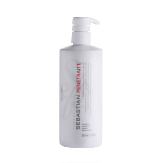 Sebastian Penetraitt Masque 500ml